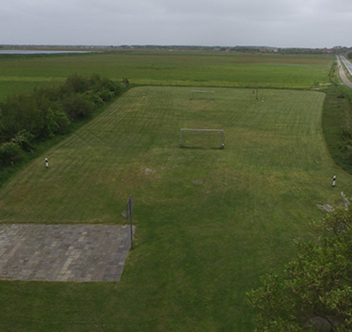 Halfweg Ameland gras