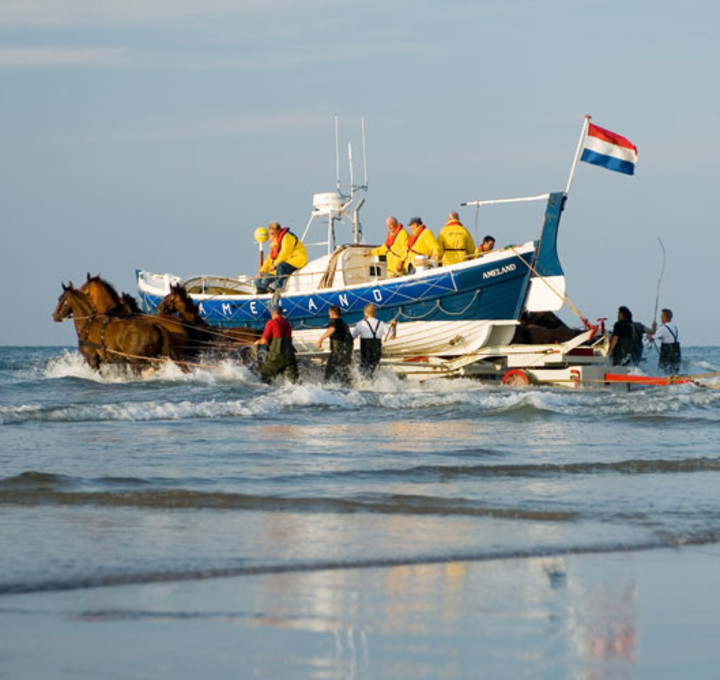 Zien en doen - groepsverblijven waddeneiland Ameland